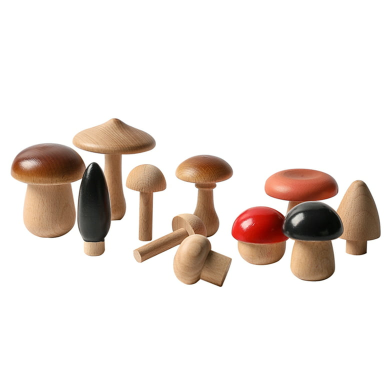 Wooden Mushroom Toy Pack of 11 Wooden Mushroom Set Various Sizes Natural Wooden  Mushroom DIY Paint Color Mini Mushroom for Home Decor and Crafts Garden  Accessories Creative Gift 