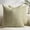 Lime Green, variant on otnbgsr Throw Pillow Covers 18x18 Set of 2 2026 Upgrade Boho Textured Chenille Cushion Covers Dot Stripe Decorative Pillow Cases for Sofa Couch Bed