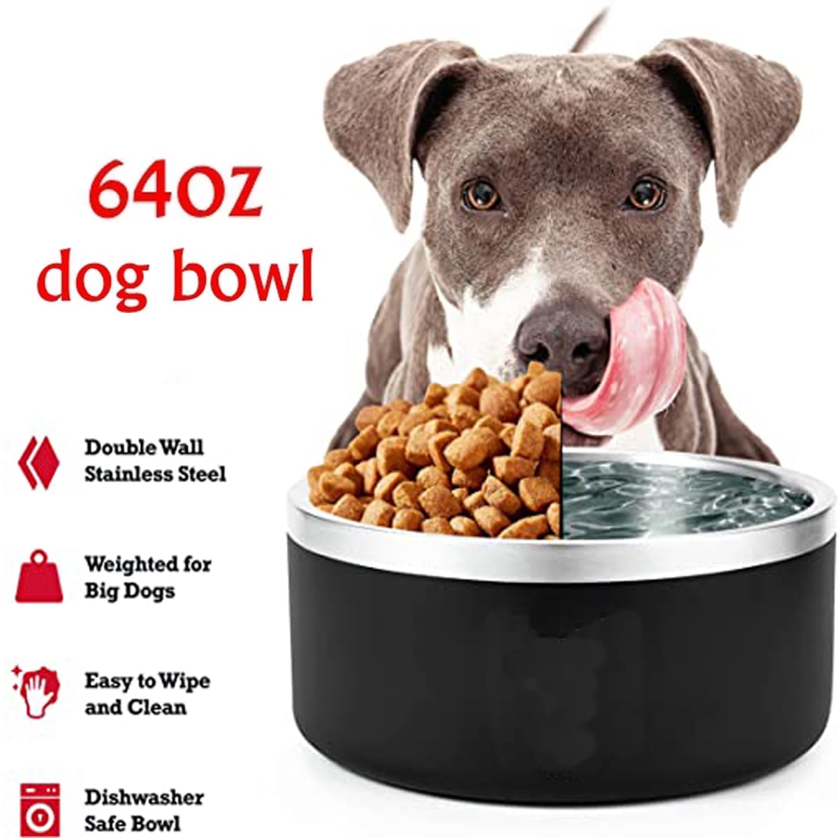 Why Do Dogs Eat Walls