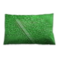 thumbnail image 1 of Ahgly Company Outdoor Rectangular Contemporary Lumbar Throw Pillow, 13 inch by 19 inch, 1 of 5