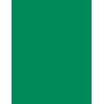 thumbnail image 4 of Pacon Corporation PAC101170 Array Card Stock Brights Emerald Green, 4 of 4
