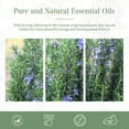 thumbnail image 4 of PHATOIL 100ml Rosemary Essential Oil for Soap Making, 100% Pure Rosemary Oil for Diffuser, Humidifiers, 4 of 8