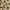 Horizon Sandbeige, variant on SAFAVIEH Martha Stewart Kalahari Spotted Area Rug, Sharkey Grey, 2'6" x 4'3"