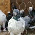 thumbnail image 4 of UPOUART Portable Galvanized Iron Wire Net for Garden Netting and Livestock Fencing, 4 of 7