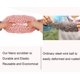 thumbnail image 2 of Paquete de 6 esponjas de plástico antiarañazos para fregar, almohadillas para fregar platos para ollas, sartenes y hornos Adepaton WRJM-206, 2 of 5