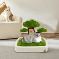 thumbnail image 6 of Small Cat Tree Scratching Tower Post Scratcher Furniture Pet Scratching Rest Toy, 6 of 13