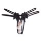 thumbnail image 1 of Panties de Encaje para Mujer con Detalles de Perlas – Diseño Lateral con Tiras Ajustables, Tela Suave y Elástica, Talla Única (Se Ajusta a 40-60 kg), 1 of 5