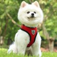 thumbnail image 5 of Dog Vest Strap - Lightweight Breathable Sports Mesh - Pet Adjustable Strap Padded Strap - M, 5 of 6