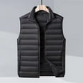 thumbnail image 2 of Autumn And Winter Men's Light Down Vest Slim Solid Color Collar Sleeveless Jacket Horse Jacket, 2 of 6