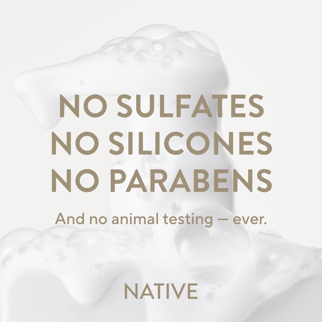 Native Sandalwood & Shea Butter Shampoo 16.5 fl oz