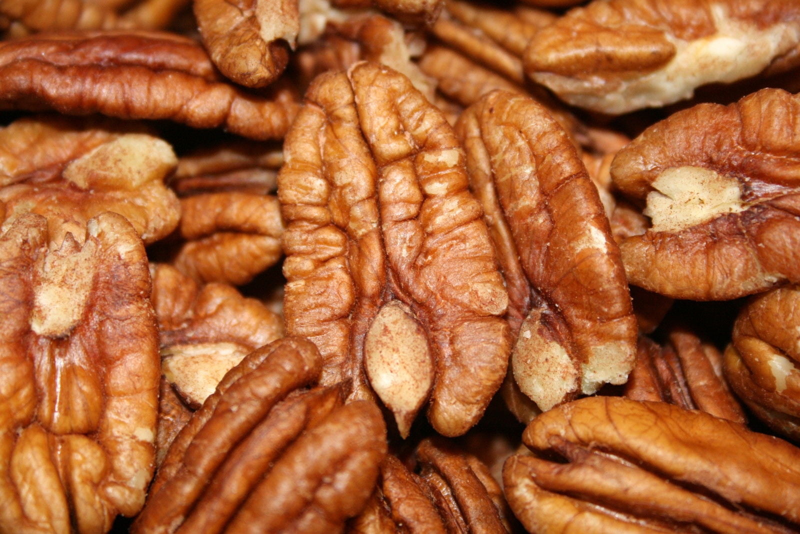 BAYSIDE CANDY RAW PECANS , 5LBS