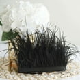 thumbnail image 5 of Efavormart 39" Black Real Ostrich Feather Trims With Satin Ribbon Tape For Wedding Decoration, 5 of 11