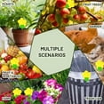 thumbnail image 6 of QARUN 100 Pcs Yellow Flower Shaped Sticky Insect Traps Gnat Sticky Traps Double Sided Bug Killer Fruit Fly Fungus Gnat Catcher with Green Stakes for Indoor Outdoor Plants Kid Pet Safe, 6 of 6