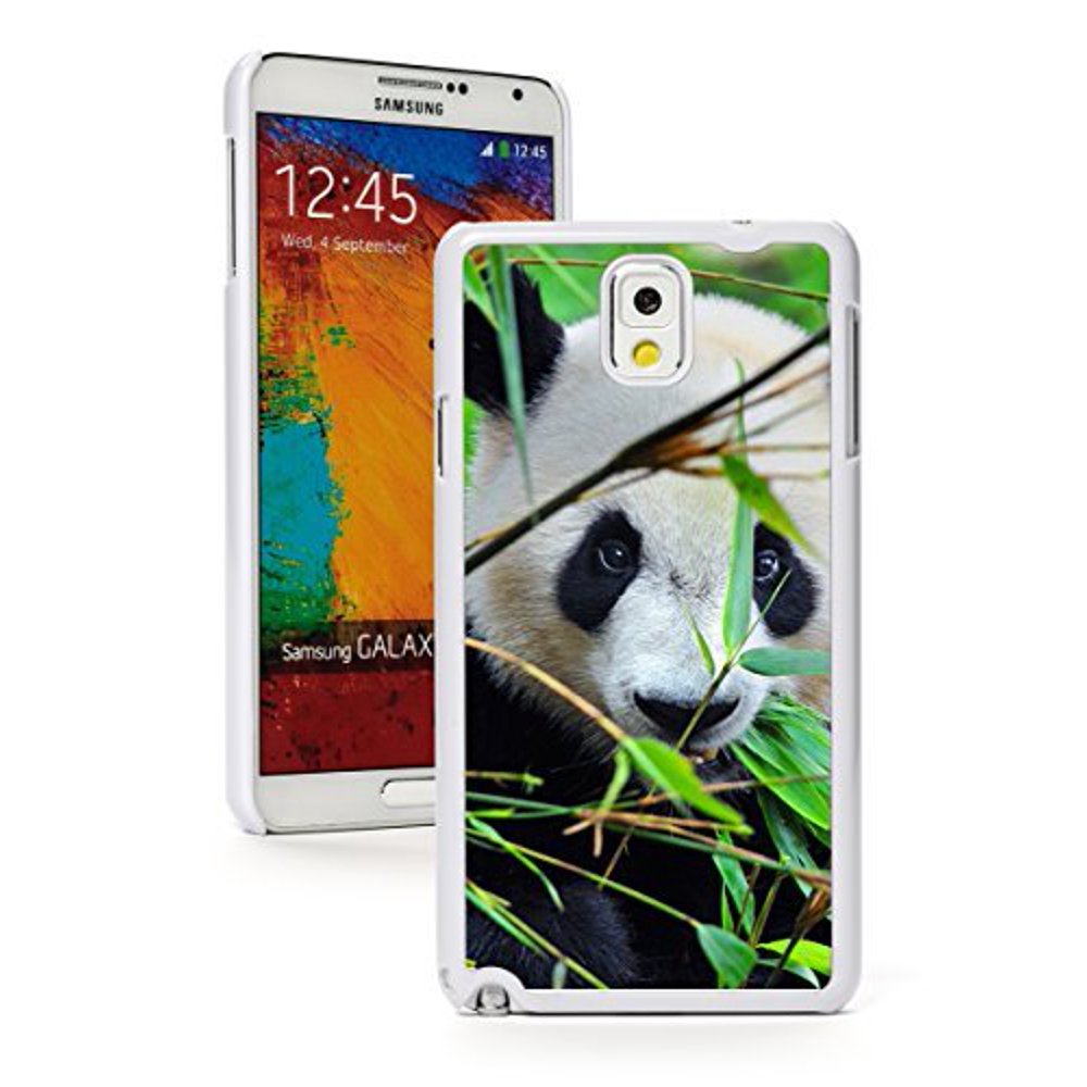 Fish or mammals argumentation answer key image