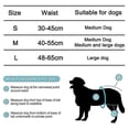 thumbnail image 5 of Paquete de 3 pañales reutilizables y lavables para perros, muy absorbentes., 5 of 5