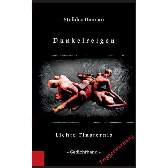 Dunkelreigen: Lichte Finsternis, (Paperback)