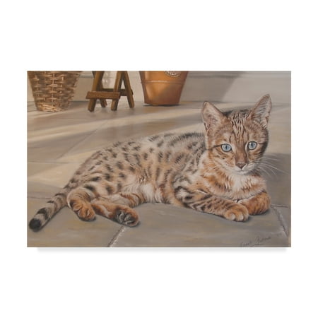 Trademark Fine Art 'Bengal Kitten' Canvas Art by Janet (Best Bengal Kittens Home)