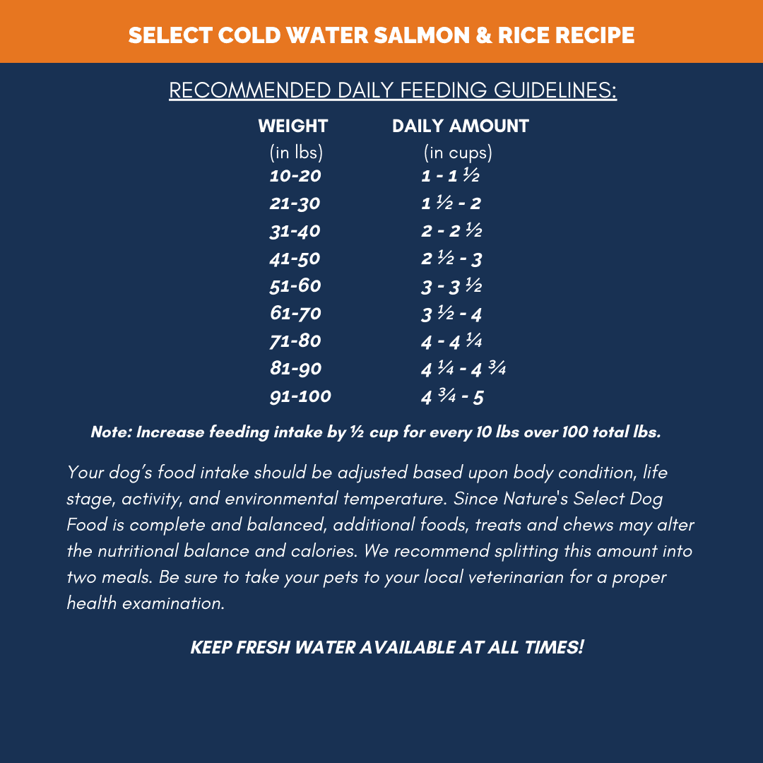 Nature's Select Cold Water Salmon & Rice Recipe, Dry Dog Food for Adults (28 lbs)