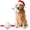 Baseball, variant on Dog Ball, Interactive Chewy Ball with Strap, Dog Toy, High Bounce, 4.33 inch, Blue Soccer