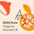 thumbnail image 5 of Plant Therapy Tangerine Essential Oil 30 mL (1 oz) 100% Pure, Undiluted, Natural Aromatherapy, 5 of 8