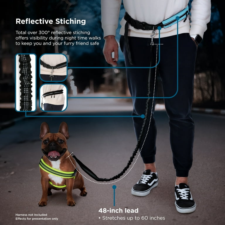 BLACK DECKER Hands Free Bungee Running Dog Leash Set Mint Black