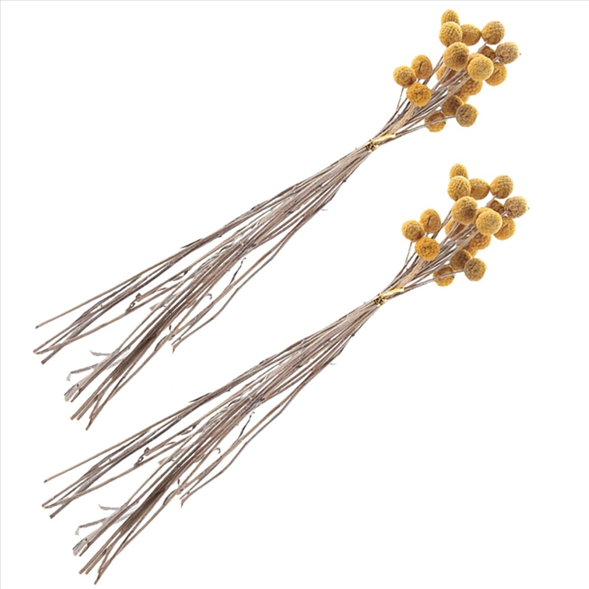 160Pcs Dried Craspedia Flowers Dried Button Balls Flowers,Dried Flower Bouquet for Arrangements Wedding Home Decor
