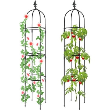 2Pcs Plant Cages and Supports, Deaunbr Tomato Cage 6FT Tall Plant Stakes Heavy Duty Garden Trellis for Indoor & Outdoor Plants, Climbing Plant, Tomatoes, Vegetables, Fruits, Flowers, Pots, Vines