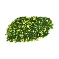 thumbnail image 4 of 30G Hoja en miniatura DIY para modelo Ferrocarril Accesorios de muñecas Jardín de hadas verde Zulema hojas de micro paisaje, 4 of 8