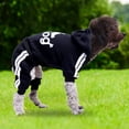 thumbnail image 1 of Chaqueta Para Perro Ropa para perros Chaleco para cachorros Material suave de cuatro patas (XS) Negro Likrtyny Para estrenar, 1 of 7