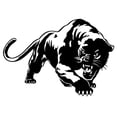 thumbnail image 2 of Walbest Car Decals- 1 Pcs Black Panther Car Hood Sticker, Self-Adhesive Vinyl Graphics Wild Animals Leopard Decals, Universal Scratch Hidden Car Stickers, 2 of 6