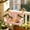 Pink# New, variant on Infidev Swing Wild Bird Feeder Stand for Outside, Metal Mesh Bottom, Wood Bench Shaped Bird Feeders for Outside Hanging, Swing Chair Bird Feeder for Garden Yard Patio，Porch Decoration