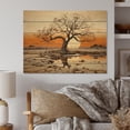 thumbnail image 2 of Designart "Baobab Dried Tree Charm" Tree Baobab Print on Natural Pine Wood, 2 of 5