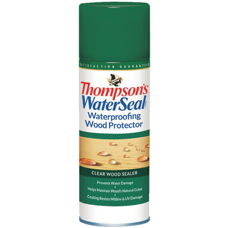 Thompsons WaterSeal Waterproofing Wood Protector