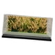 thumbnail image 3 of Vitrina de Acrílico para Maquetas de Coches a Escala 1/64, Organizador de Almacenamiento, Caja de Exhibición para Dioramas, Paisaje Montañoso en, 3 of 9