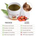 thumbnail image 6 of Yecuce Batana Oil Hair Masks, Pure Natural, Repair Smooth, for All Hair Type, 7.8fl.oz, 6 of 8