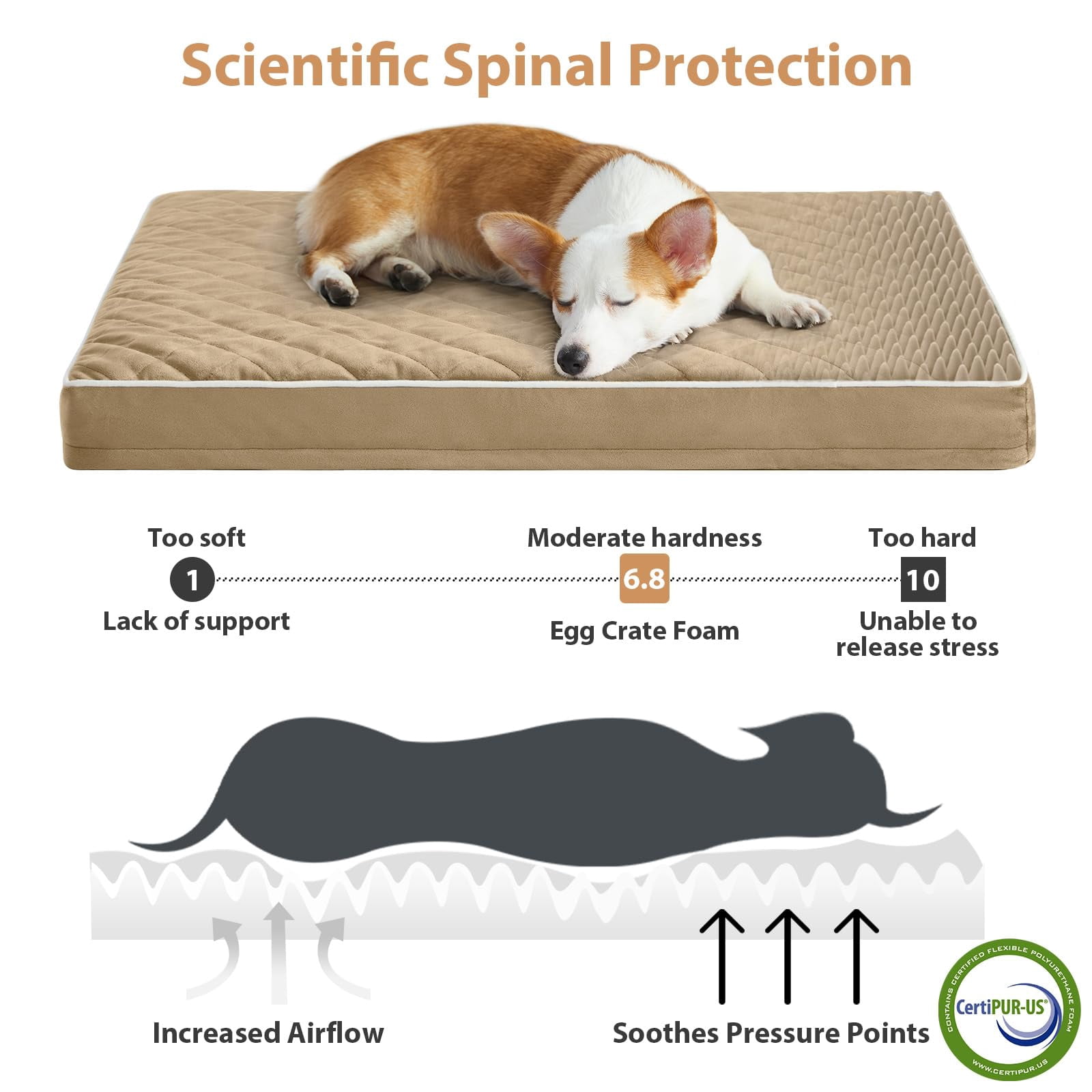 Xl Dog Beds Large Sized  Waterproof Extra Dogs Bed With Removable Washable Cover Multi-needle Quilting Crate