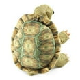 thumbnail image 4 of Standing Tortoise Puppet (Other), 4 of 5