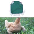 thumbnail image 4 of Poliéster Poliéster Chaleco Ligero Chaquetas Para Aves De Corral Protector De Alas Verde Blanco Sunnimix Silla de montar de pollo, 4 of 7