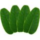 thumbnail image 2 of Tapete de mesa de simulación de hoja de plátano, tapete de frutas, decoración de ambiente, decoración de fiesta, hojas artificiales artificiales, 4 piezas, 2 of 5