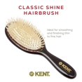 thumbnail image 3 of Cojín ovalado pequeño Hair Brush Kent CSGS Classic Shine, 3 of 8