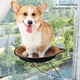 thumbnail image 4 of Hamaca para mascotas, cama para gatos, ventana, succión, nido colgante para mascotas, hamaca con ventosa, elegante y moderna, 4 of 9