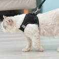 thumbnail image 4 of 2 Packs Dog Harness Step-in Breathable Puppy Cat Dog Vest Harnesses Vest-style Dog Traction Rope Reflective and Breathable Dog Rope for Small Medium Dogs, 4 of 9