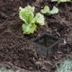 thumbnail image 3 of 10pcs Cesta de siembra Raíz de siembra verde Planta cuadrada Cultivo de agua Jardín Siembra de invernadero Macetas de cultivo sin suelo Negro, 3 of 6