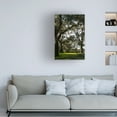 thumbnail image 3 of Robert Michaud 'Live Oak Trees' Canvas Art, 3 of 4