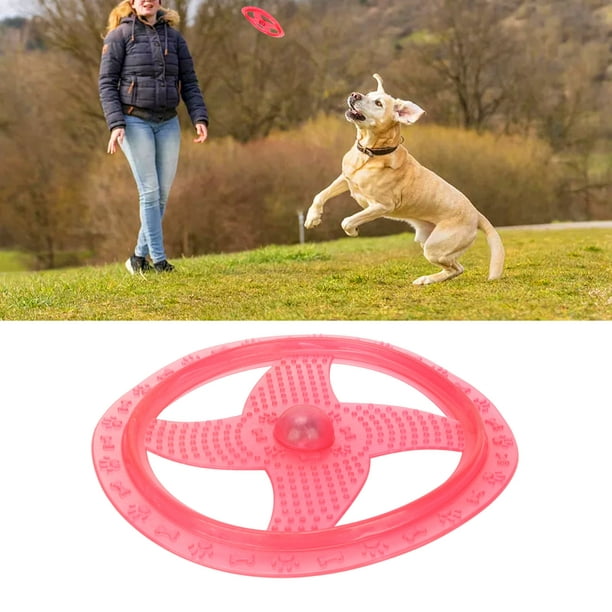 2 pièces Disques volants Jouets interactifs pour chiens En