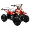 Youth ATV by FamilyGoKarts Metallic Red 3050C Kids ATV