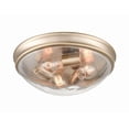 thumbnail image 3 of Millennium Lighting 5229 3 Light 14" Wide Flush Mount Bowl Ceiling Fixture - Black, 3 of 5
