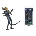thumbnail image 1 of NECA Alien - Figura de guerrero con rejilla, juguete coleccionable zhangyuxiang unisex, 1 of 2