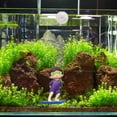 thumbnail image 5 of Xioeram Floating Fish Tank Decorations| Cute Little Diver, Surfer boy, Whale-Riding Girl for Aquarium Decorations、Desktop Ornaments、Car Decorating| Fish Tank Accessories Decorations, 5 of 7