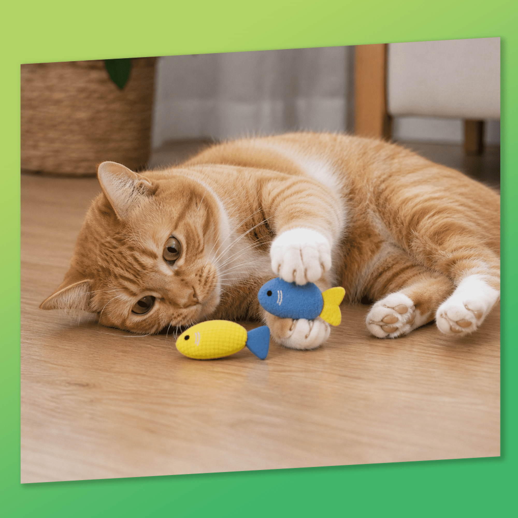 Kitty Ka Zoom Catnip Fish Toy 2 Pack